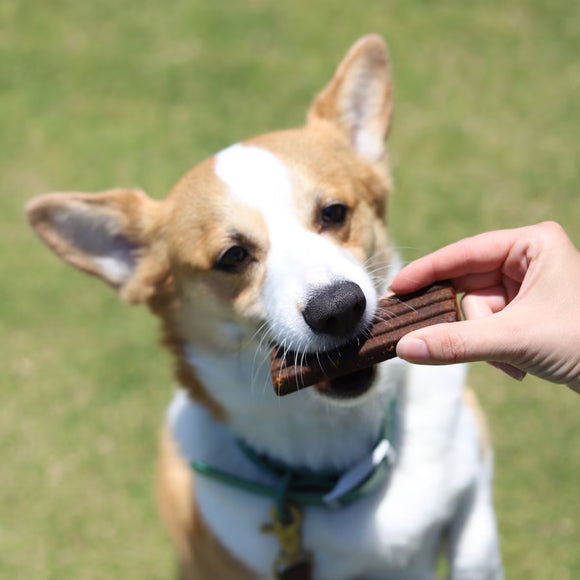 Diggin Your Dog Firm Up Pumpkin Bars Digestive Aid for Dogs & Cats