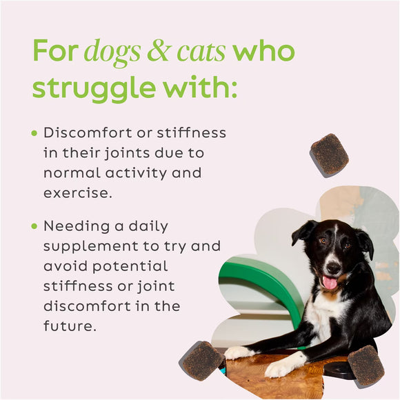 Super Snouts Joint Power Health Supplement Mobility Chews for Dogs & Cats, Up to 60 lbs, 60 count