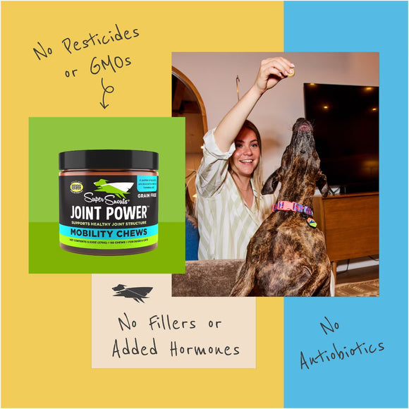 Super Snouts Joint Power Health Supplement Mobility Chews for Dogs & Cats, Up to 60 lbs, 60 count