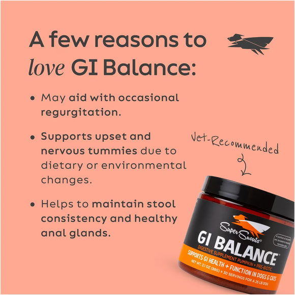 Super Snouts GI Balance Digestive Supplement Pumpkin Plus Prebiotic for Dogs & Cats, 3.1-oz