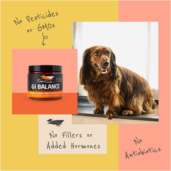 Super Snouts GI Balance Digestive Supplement Pumpkin Plus Prebiotic for Dogs & Cats, 3.1-oz