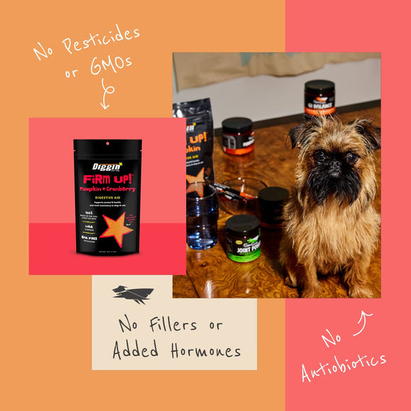 Diggin Your Dog Firm Up Pumpkin Plus Cranberry Digestive Aid for Dogs & Cats, 4-oz