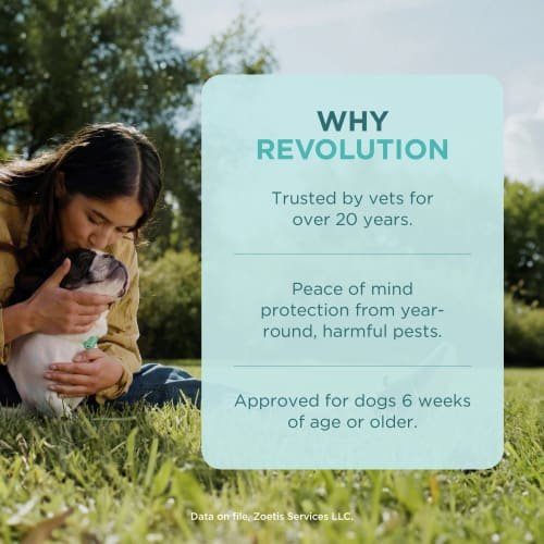 Revolution Topical Solution for Dogs