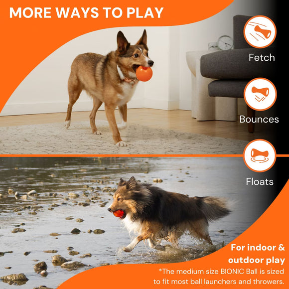 Bionic Durable Dog Toy for Power Chewers