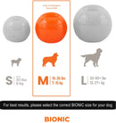 Bionic Durable Dog Toy for Power Chewers-21