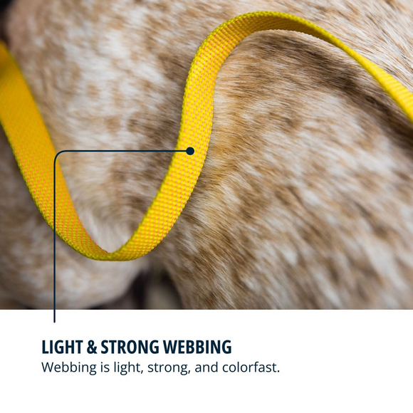 Ruffwear Hi & Light Dog Leash