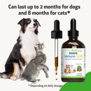 Immune SURE for Canine Immune System Support - Dog Immune & Allergy Supplements 9
