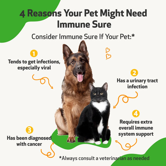 Immune SURE for Canine Immune System Support - Dog Immune & Allergy Supplements 5