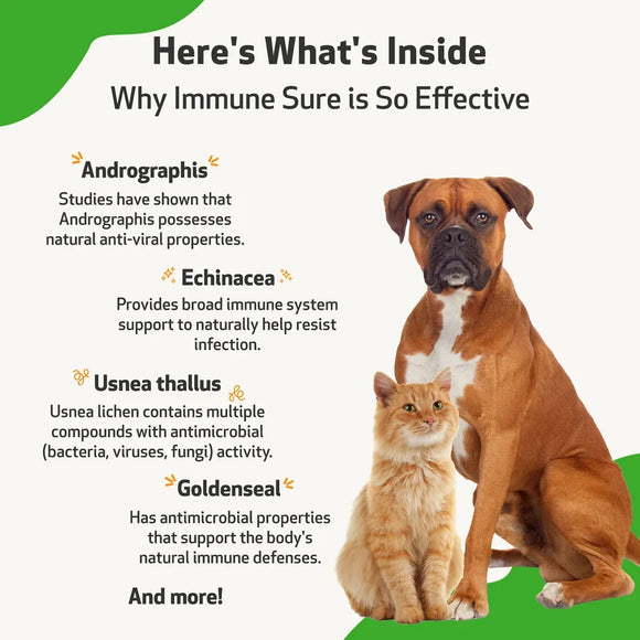 Immune SURE for Canine Immune System Support - Dog Immune & Allergy Supplements 7