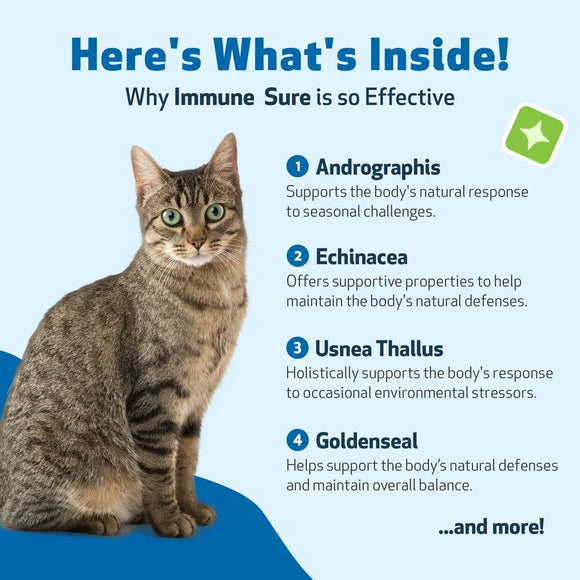 Immune SURE -for Feline Immune System Support - Cat Supplements & Vitamins 7