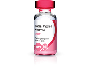 Imrab 1 Year Rabies Vaccine (10ml x 5 vials, 50 doses)