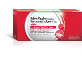 Imrab 3 Year Rabies Vaccine (10ml x 5 vials)
