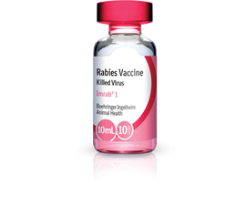 Imrab 1 Year Rabies Vaccine (10ml x 5 vials, 50 doses)