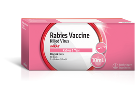 Imrab 1 Year Rabies Vaccine (10ml x 5 vials, 50 doses)