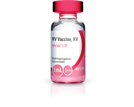 Imrab 1 TF Vaccine, 1 ml x 50 doses