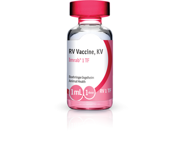 Imrab 1 TF Vaccine, 1 ml x 50 doses
