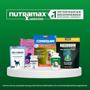 Nutramax Support Chewable for Dogs - #1 Veterinarian Recommended Supplement Company