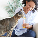Inaba Churu Tuna Seafood Variety Pack Grain-Free Lickable Treat for Cats