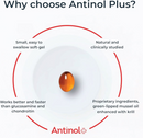 Antinol Plus Joint Support for Dogs