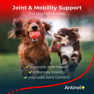 Antinol Plus Joint Support for Dogs