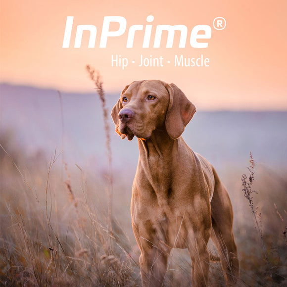 InPrime - Natural Joint Support for Dogs - Helps Maintain Normal Joint Mobility &Function - Supports Hip and Joint