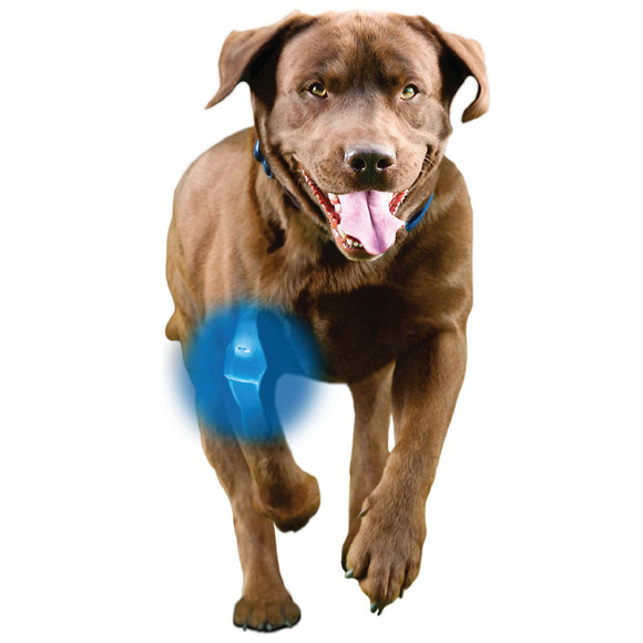 InPrime - Natural Joint Support for Dogs - Helps Maintain Normal Joint Mobility &Function - Supports Hip and Joint