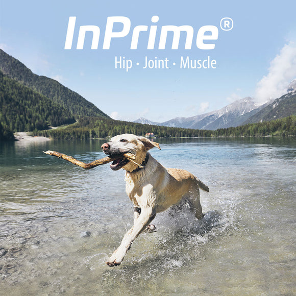 InPrime - Natural Joint Support for Dogs - Helps Maintain Normal Joint Mobility &Function - Supports Hip and Joint