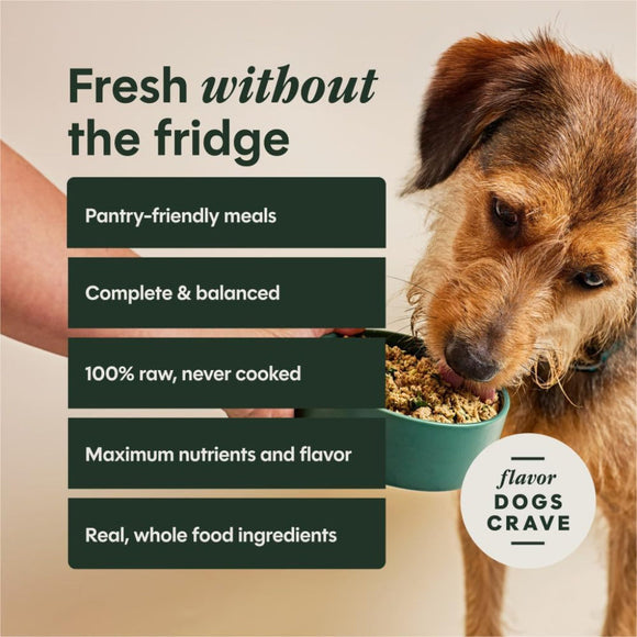 Instinct Fresh Dried Meal Blends Freeze-Dried Grass-Fed Beef & Wild Berry Recipe for Dogs - Dog Treats 7