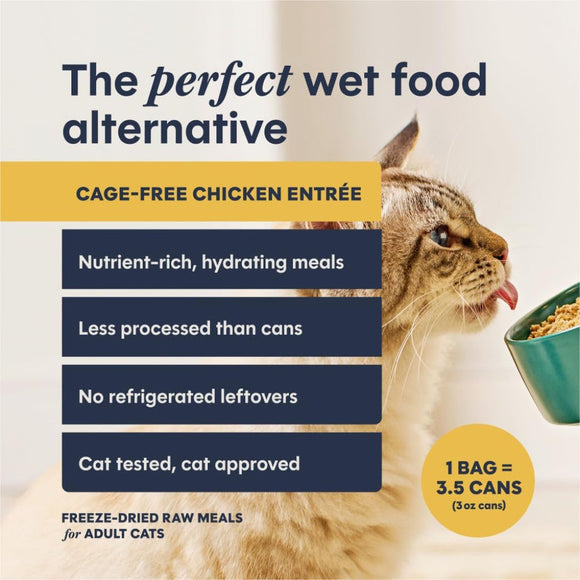 Instinct Fresh Dried Patés Freeze-Dried Raw Chicken Entrée for Cats - Cat Food 3