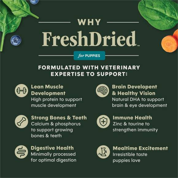 Instinct Fresh Dried Raw Meal Blends Freeze-Dried Cage-Free Chicken Recipe for Puppies - Dog Treats 4