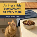 Instinct Grain-Free Healthy Cravings Savory Gravy Wet Cat Food 3-oz case of 24 - Cat Food 6