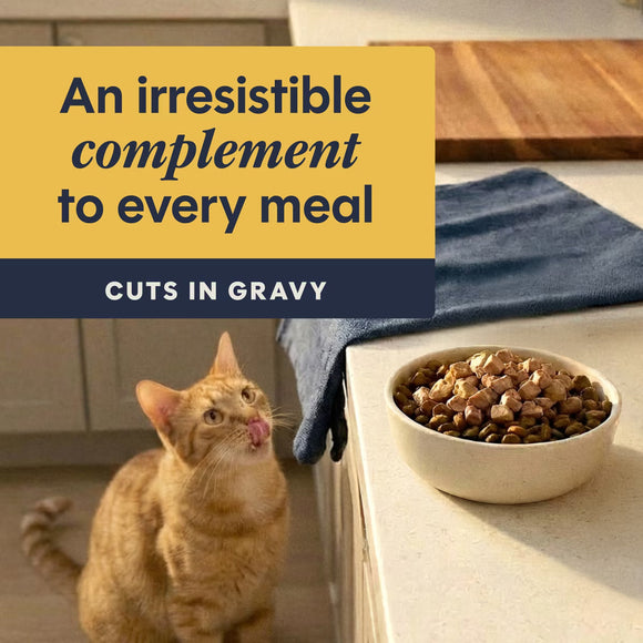 Instinct Grain-Free Healthy Cravings Savory Gravy Wet Cat Food 3-oz case of 24 - Cat Food 6