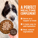Instinct Grain-Free Healthy Cravings Savory Gravy Wet Dog Food 3-oz case of 24 - Dog Food 14
