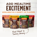 Instinct Grain-Free Healthy Cravings Savory Gravy Wet Dog Food 3-oz case of 24 - Dog Food 17