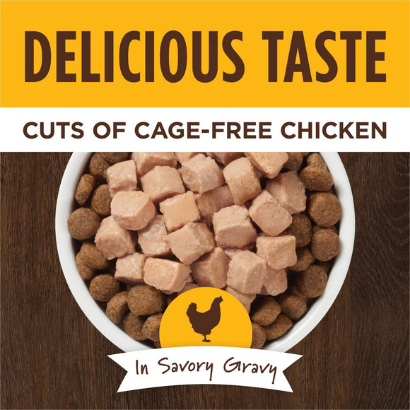 Instinct Grain-Free Healthy Cravings Savory Gravy Wet Dog Food 3-oz case of 24 - Dog Food 13