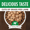 Instinct Grain-Free Healthy Cravings Savory Gravy Wet Dog Food 3-oz case of 24 - Dog Food 20
