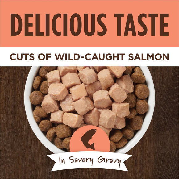 Instinct Grain-Free Healthy Cravings Savory Gravy Wet Dog Food 3-oz case of 24 - Dog Food 27