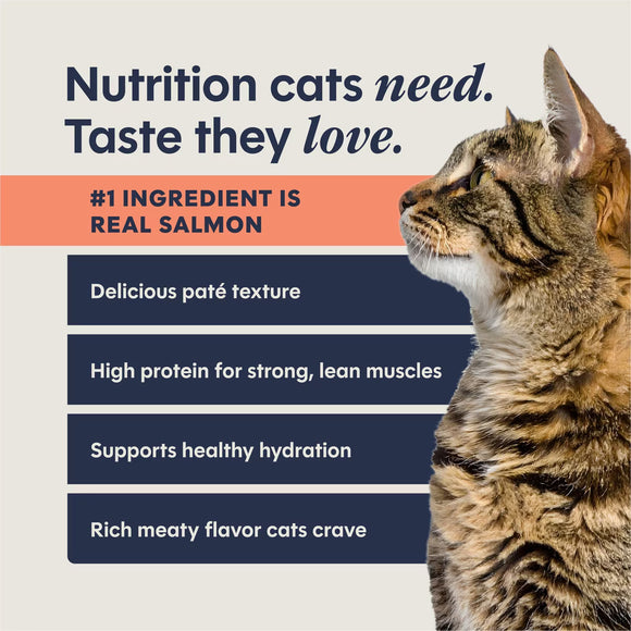 Instinct Pate Grain-Free Entree Wet Cat Food 2.64-oz case of 12 - Cat Food 21