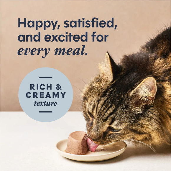 Instinct Pate Grain Free Real Duck Entree in Gravy Wet Cat Food (2.64 oz split cup x 12 pack) - Cat Food 7