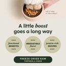 Instinct Raw Boost Mixers Gut Health Freeze Dried Meal Topper for Dogs - Dog Treats 3