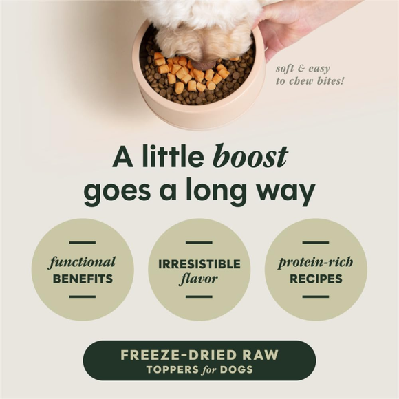 Instinct Raw Boost Mixers Gut Health Freeze Dried Meal Topper for Dogs - Dog Treats 3