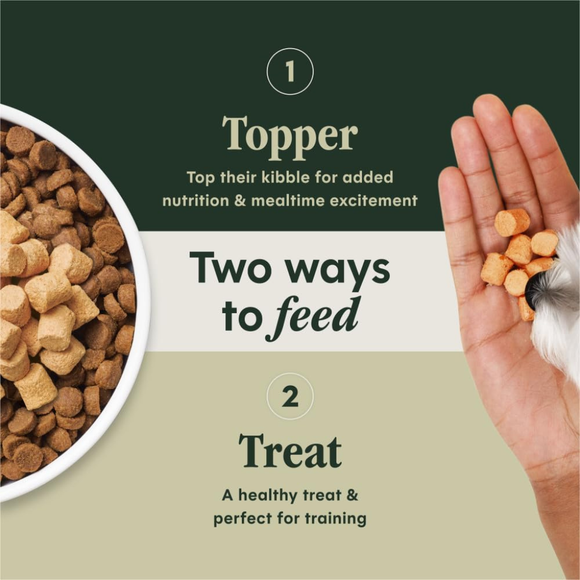 Instinct Raw Boost Mixers Gut Health Freeze Dried Meal Topper for Dogs - Dog Treats 6