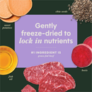 Instinct Raw Boost Mixers Multivitamin Freeze Dried Meal Topper for Adult Dogs - Dog Treats 2