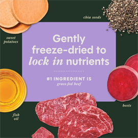 Instinct Raw Boost Mixers Multivitamin Freeze Dried Meal Topper for Adult Dogs - Dog Treats 2