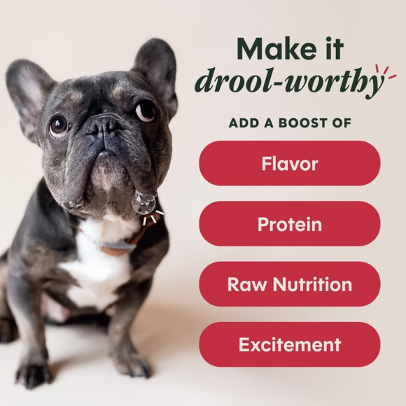 Instinct Raw Boost Shakers Freeze Dried Beef Recipe Meal Topper for Dogs - Dog Treats 3