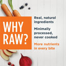 Instinct Raw Meals Grain-Free Chicken Freeze-Dried Cat Food - Cat Food 5