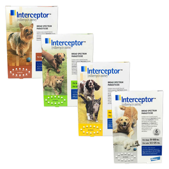Interceptor Chewable Tablets for Dogs & Cats - Pet Medicine 1
