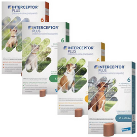 Interceptor Plus Chew for Dogs - Pet Medicine 1