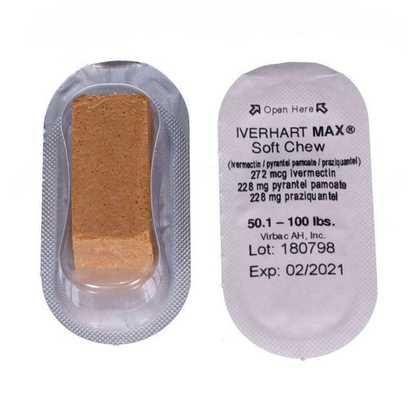 Iverhart Shop Iverhart Max for Dog Heartworm Protection - 50.1-100 lbs
