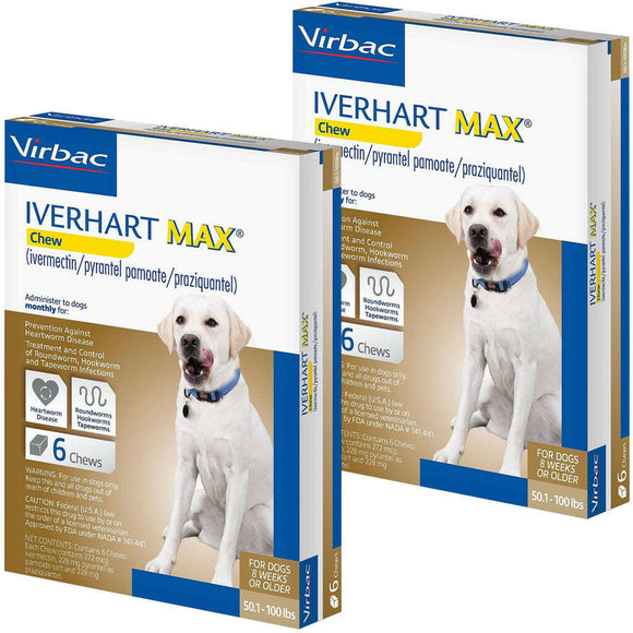 Iverhart Shop Iverhart Max for Dog Heartworm Protection - 50.1-100 lbs